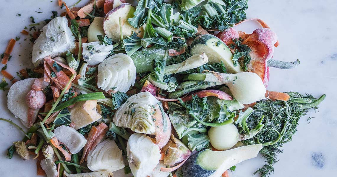 Ortaggi surgelati o congelati di Nippon Gases Italia