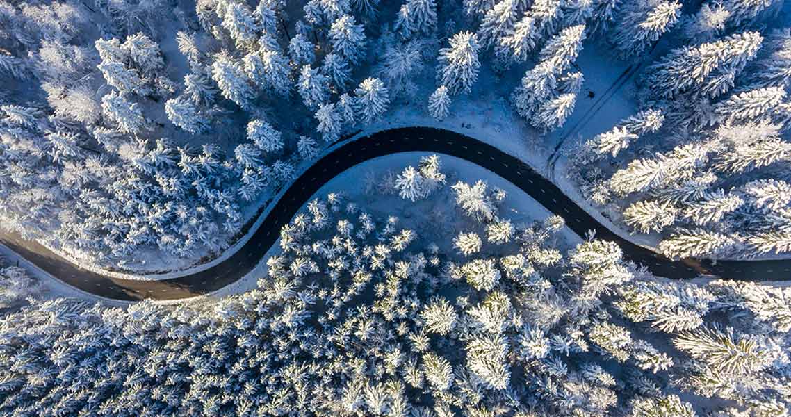 strada nel bosco in inverno-HFC di Nippon Gases Italia