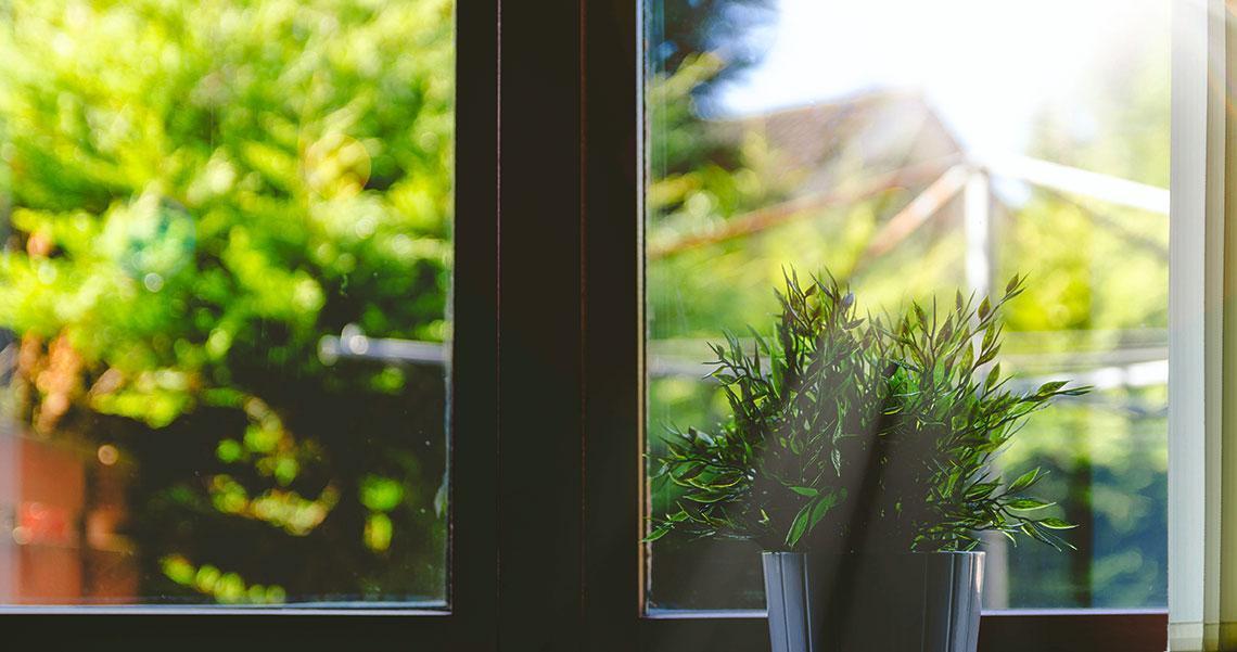 finestra chiusa con pianta e vista sul verde